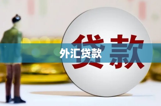 金城江外汇贷款