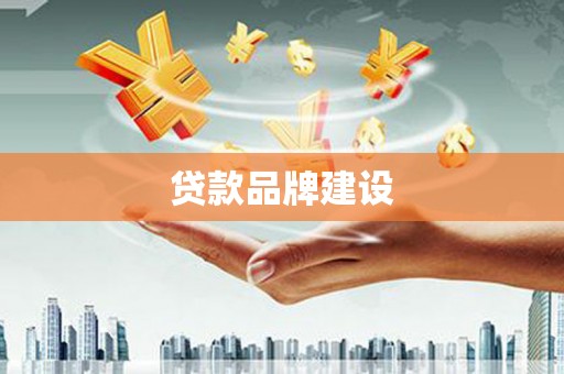 金城江贷款品牌建设