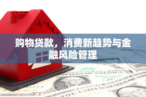 金城江购物贷款，消费新趋势与金融风险管理