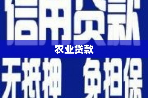 金城江农业贷款