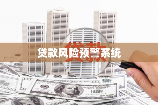金城江贷款风险预警系统