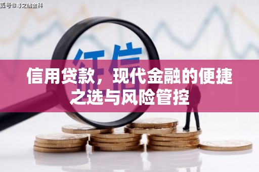 金城江信用贷款，现代金融的便捷之选与风险管控