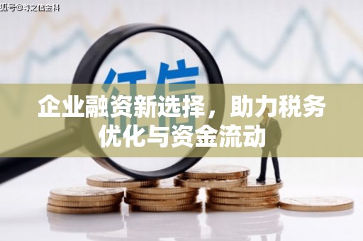 金城江企业融资新选择，助力税务优化与资金流动