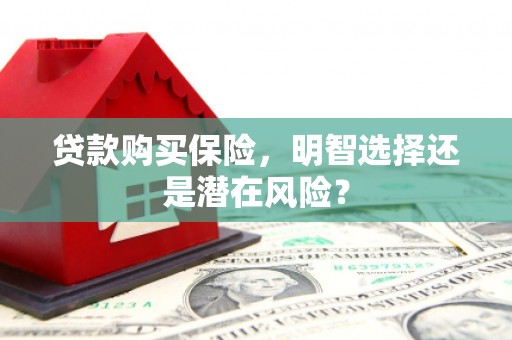 金城江贷款购买保险，明智选择还是潜在风险？