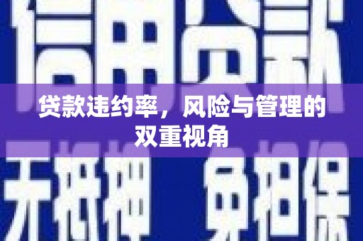 金城江贷款违约率，风险与管理的双重视角