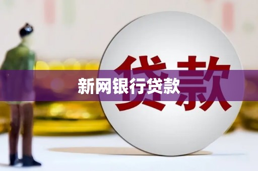 金城江新网银行贷款