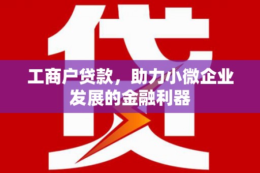 金城江工商户贷款，助力小微企业发展的金融利器
