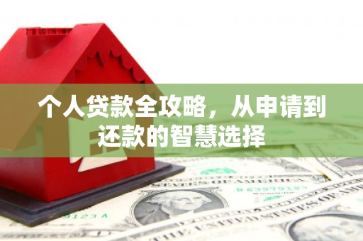 金城江个人贷款全攻略，从申请到还款的智慧选择