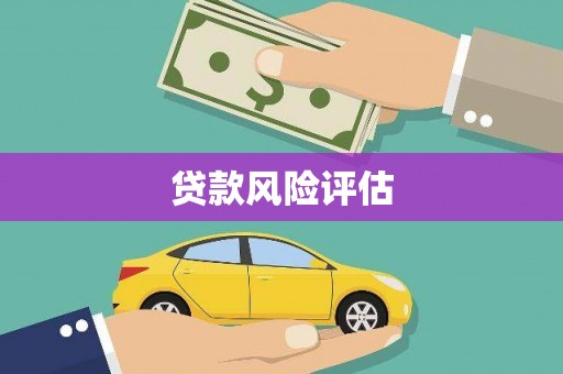 金城江贷款风险评估