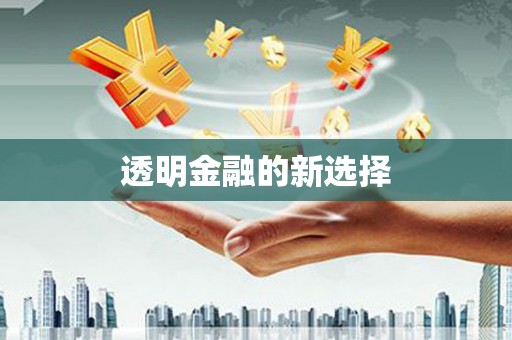 金城江透明金融的新选择