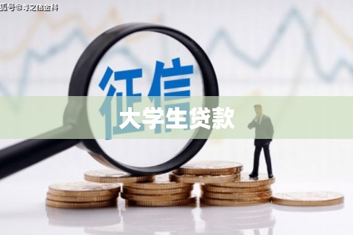 金城江大学生贷款