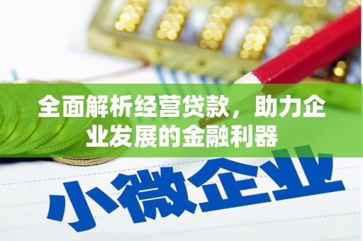 金城江全面解析经营贷款，助力企业发展的金融利器
