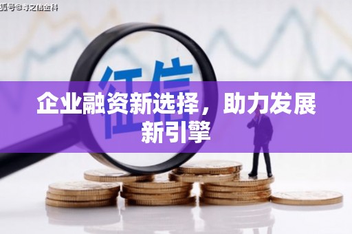 金城江企业融资新选择，助力发展新引擎