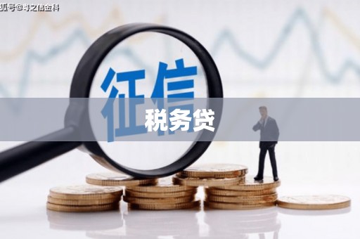 金城江税务贷