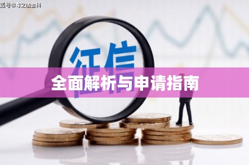 金城江全面解析与申请指南