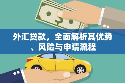 金城江外汇贷款，全面解析其优势、风险与申请流程