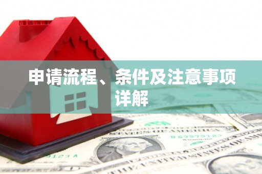 金城江申请流程、条件及注意事项详解