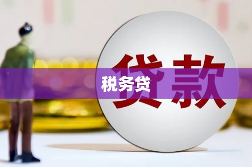 金城江税务贷
