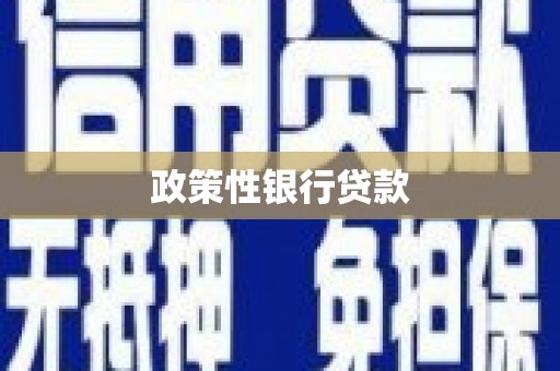金城江政策性银行贷款