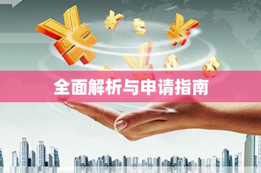 金城江全面解析与申请指南
