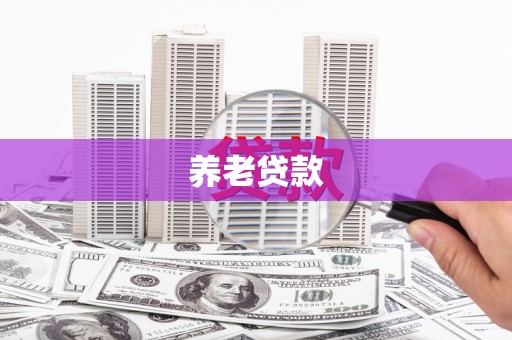 金城江养老贷款