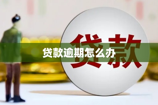 金城江贷款逾期怎么办
