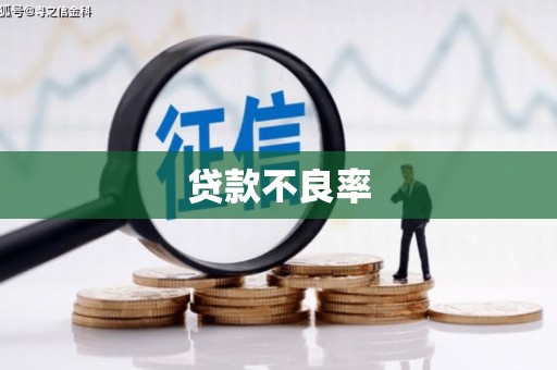 金城江贷款不良率