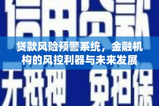 金城江贷款风险预警系统，金融机构的风控利器与未来发展