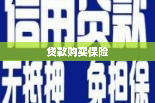金城江贷款购买保险