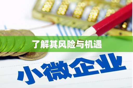 金城江了解其风险与机遇