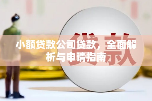 金城江小额贷款公司贷款，全面解析与申请指南