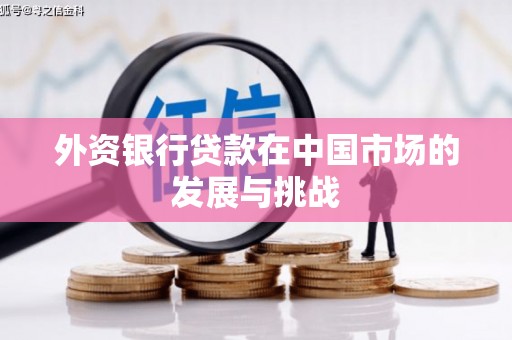 金城江外资银行贷款在中国市场的发展与挑战