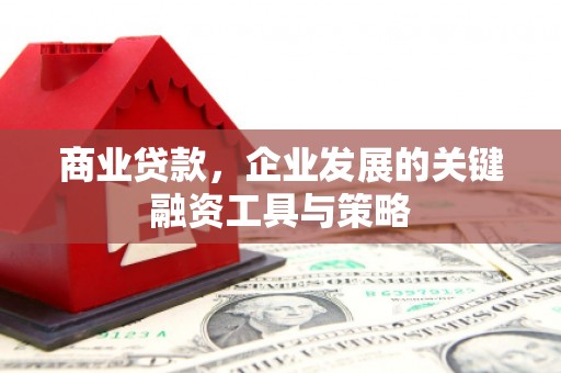 金城江商业贷款，企业发展的关键融资工具与策略