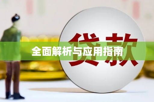 金城江全面解析与应用指南