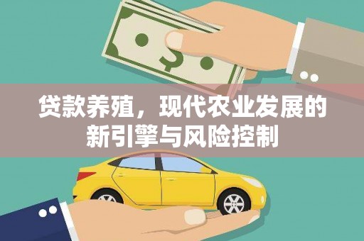 金城江贷款养殖，现代农业发展的新引擎与风险控制