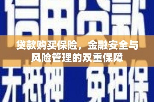 金城江贷款购买保险，金融安全与风险管理的双重保障