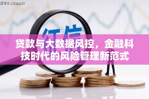 金城江贷款与大数据风控，金融科技时代的风险管理新范式