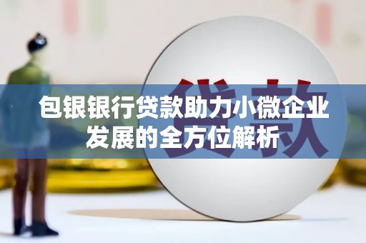 金城江包银银行贷款助力小微企业发展的全方位解析