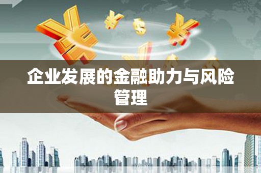 金城江企业发展的金融助力与风险管理