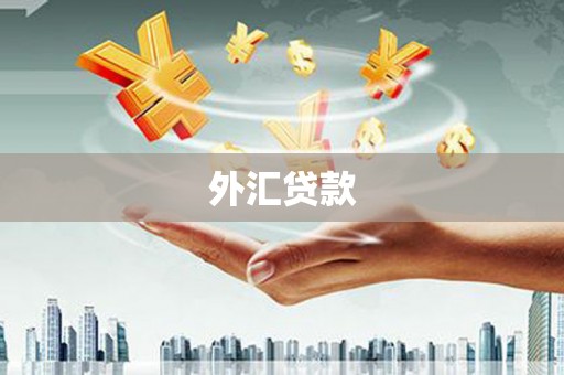 金城江外汇贷款