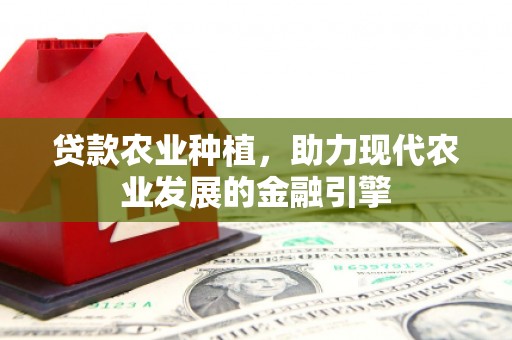 金城江贷款农业种植，助力现代农业发展的金融引擎