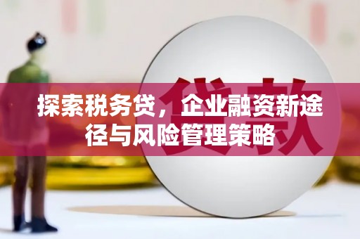 金城江探索税务贷，企业融资新途径与风险管理策略