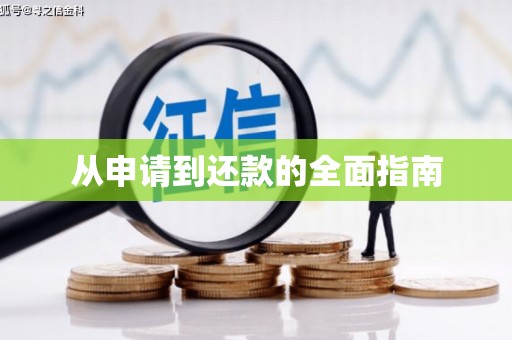 金城江从申请到还款的全面指南