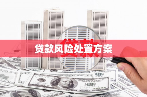 金城江贷款风险处置方案