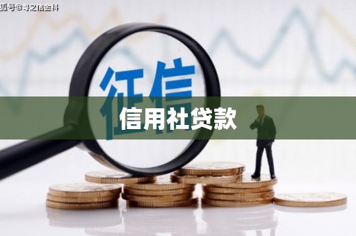 金城江信用社贷款