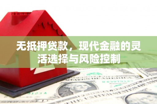 金城江无抵押贷款，现代金融的灵活选择与风险控制