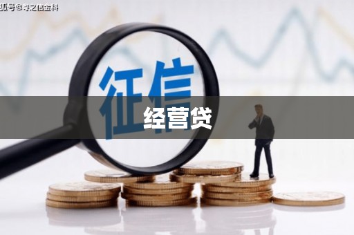 金城江经营贷