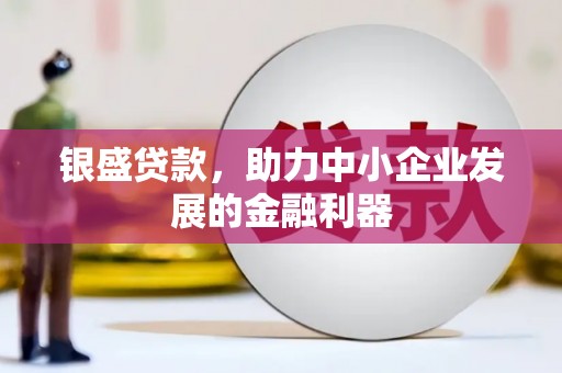 金城江银盛贷款，助力中小企业发展的金融利器