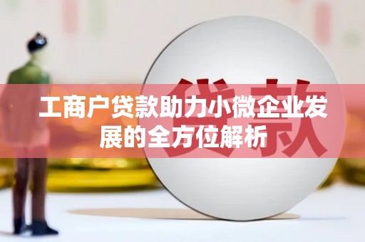 金城江工商户贷款助力小微企业发展的全方位解析