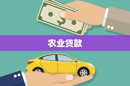 金城江农业贷款